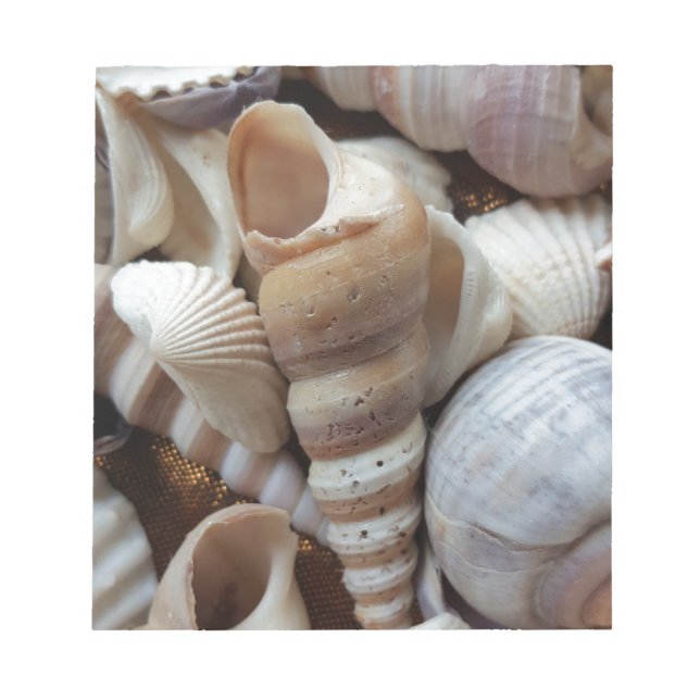 Romantic Tropical Exotic Sea Shells Beach Love Notepad (Front)