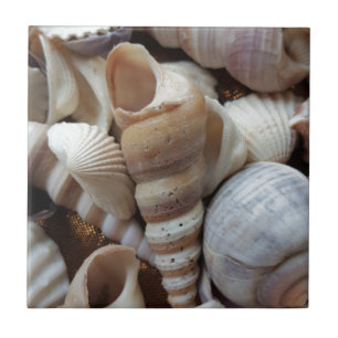 Romantic Tropical Exotic Sea Shells Beach Love Tile