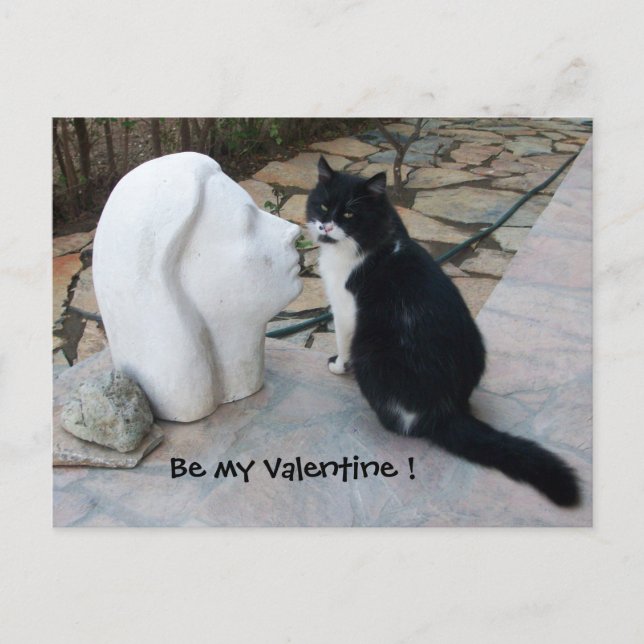 ROMANTIC VALENTINE'S DAY CAT HOLIDAY POSTCARD (Front)