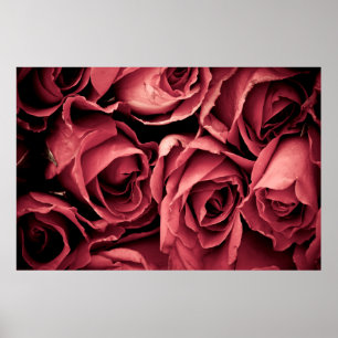 Romantic vintage rose poster