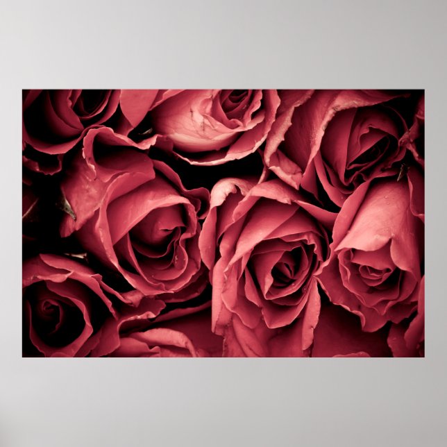 Romantic vintage rose poster (Front)