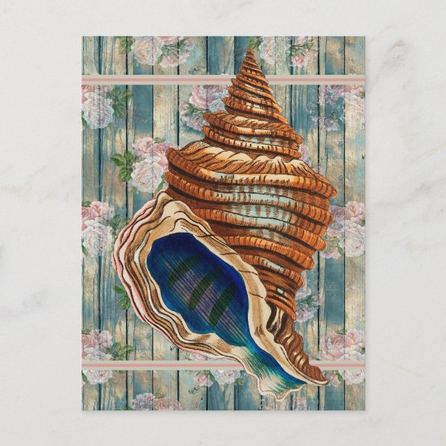 Romantic Vintage Style Blue Seashell Postcard (Front)