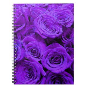 romantic violet purple roses, pretty rose bouquet notebook