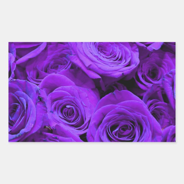 romantic violet purple roses, pretty rose bouquet sticker (Front)