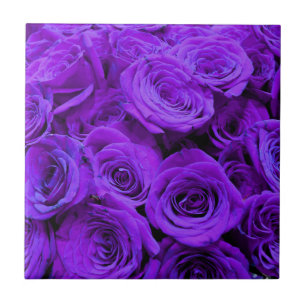 romantic violet purple roses, pretty rose bouquet tile
