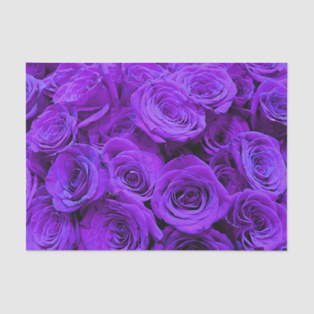 romantic violet purple roses, pretty rose bouquet tissue paper (Front)