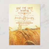 romantic wheat field save the date postcards