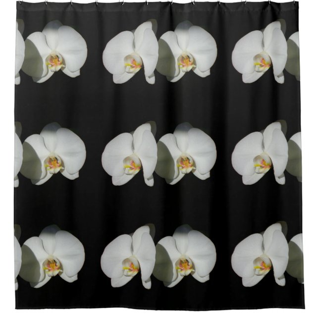 Romantic White Orchids, tropical floral photo (Front)
