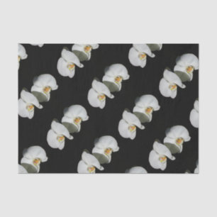 Romantic White Orchids, tropical floral photo Tissue Paper