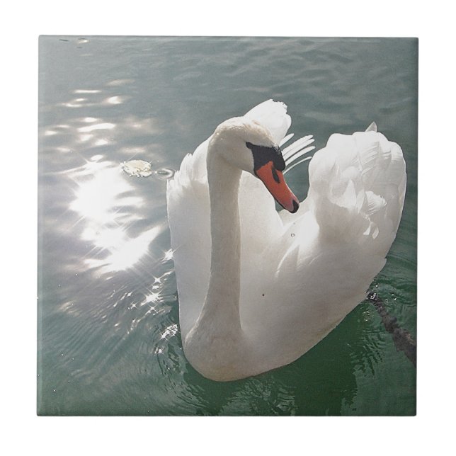 Romantic white swan tile (Front)