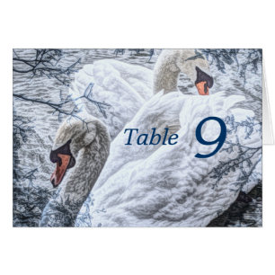 romantic winter lake white swan wedding
