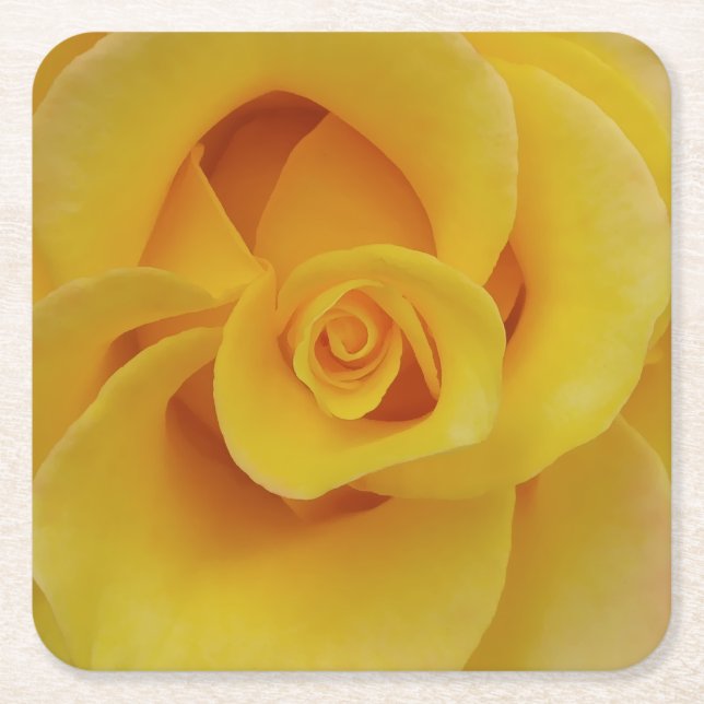 Romantic Yellow Rose Petals Square Paper Coaster (Front)