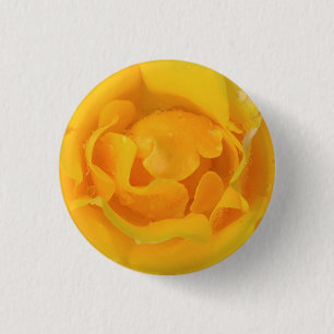 Romantic Yellow Rose Water Drops 1 Inch Round Button