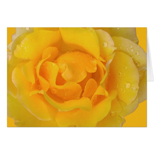 Romantic Yellow Rose Water Drops Card