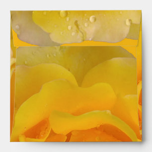 Romantic Yellow Rose Water Drops Envelopes