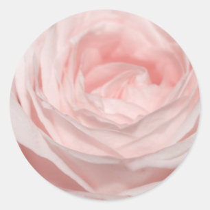 Romantica pink rose classic round sticker