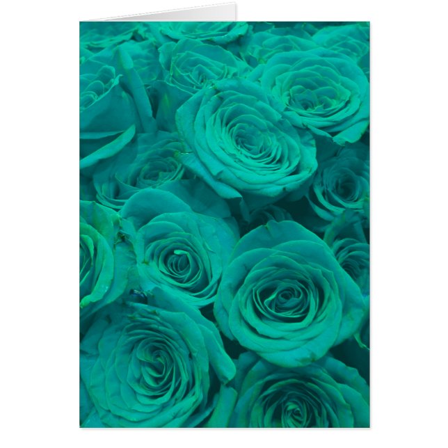 Romantique élégant turquoise - roses verts (Devant)