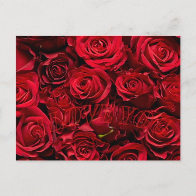 Romantique rose aime la carte postale de la Saint  (Devant)