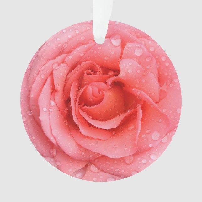 Romantique Rose rose rouge gouttes d'eau (devant)