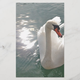 Romantischer weisser Schwan Stationery