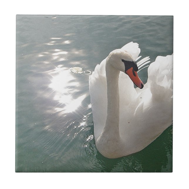 Romantischer weisser Schwan Tile (Front)