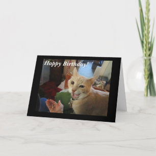 Romeo la carte de joyeux anniversaire de chat