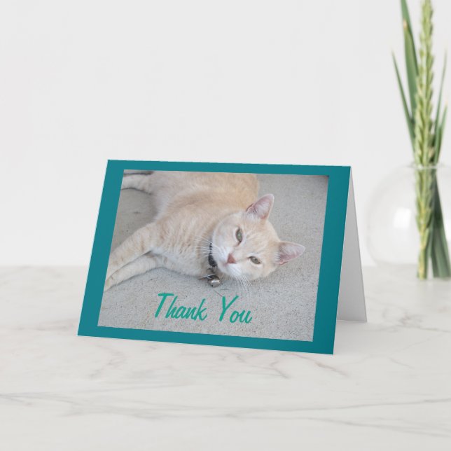 Romeo La Carte de voeux Merci Chat (Devant)