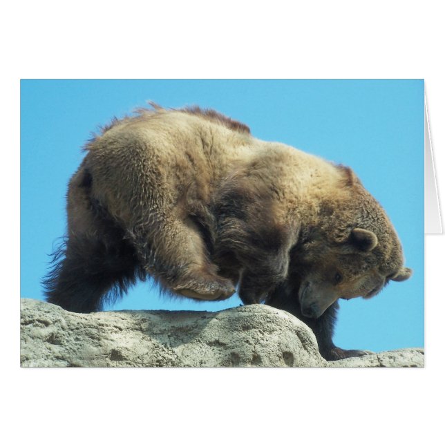 romping on the rocks (Front Horizontal)