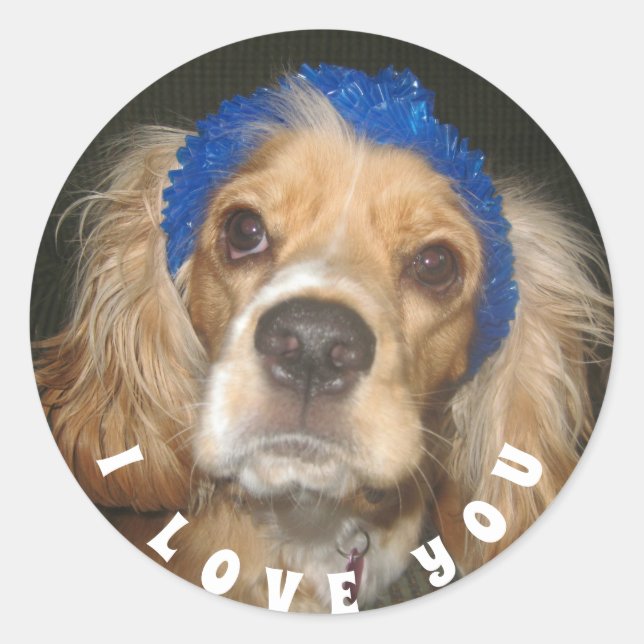 Rond Ajouter Photo Love You Classic Round Sticker (Devant)
