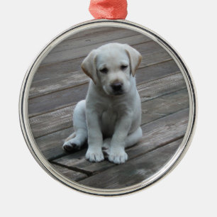 Rond Argenté Ornement blanc de Noël de chiot de labrador