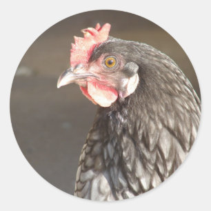 Rond Beau Bleu Hen Classic Round Sticker