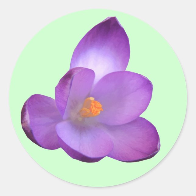 Rond Beau Sticker Crocus (Devant)