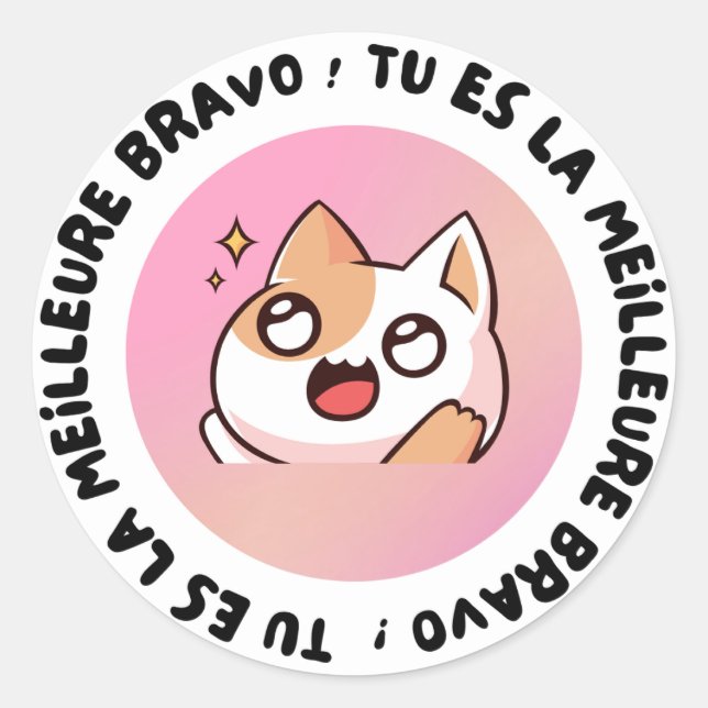 Rond Bravo Tu Es La Meilleure Kawaii Cat Sticker (Devant)