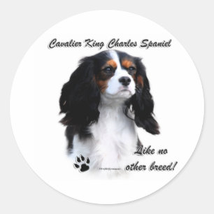 Rond Cavalier Comme Aucune Autre race - Sticker
