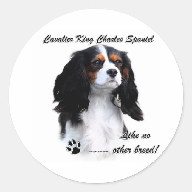 Rond Cavalier Comme Aucune Autre race - Sticker (Devant)