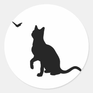Rond Chat avec Sticker Papillon