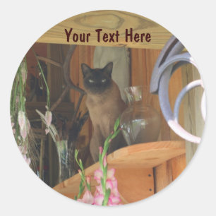 Rond Chat Siamais Possédant Un Sticker De Photographie 