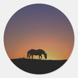 Rond Cheval en Sticker Sunrise Sud-Ouest