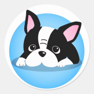 Rond Chiot de Carlin mignon - Sticker