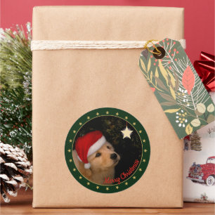 Rond Chiot d'or avec Sticker de Santa Hat