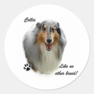 Rond Collie Comme Aucune Autre race - Sticker