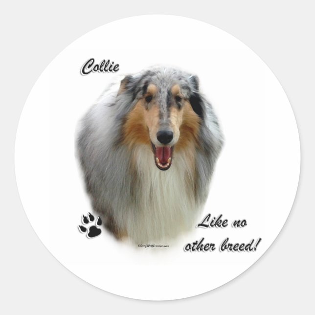 Rond Collie Comme Aucune Autre race - Sticker (Devant)