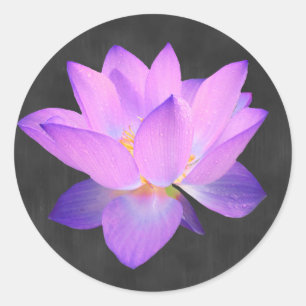 Rond Élégant Sticker Lotus Violet