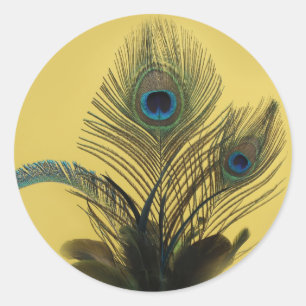 Rond Élégant Sticker Peacock (jaune)