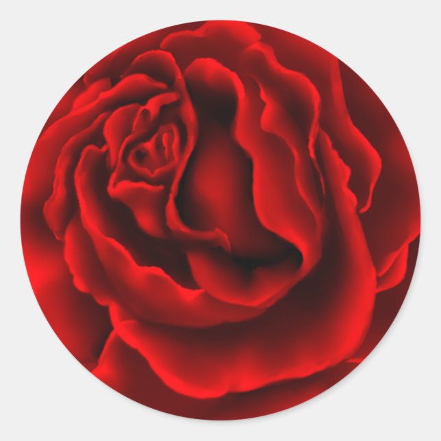 Rond Élégant Sticker Rose Rouge (Devant)