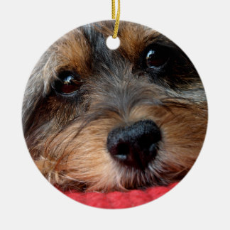 Rond En Céramique Moxi propre comme ornement de Shorkie de