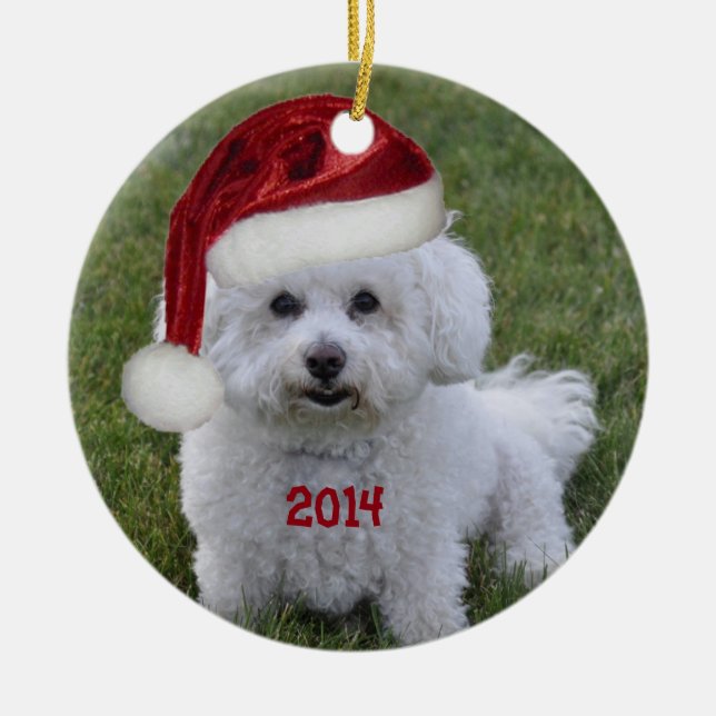 Rond En Céramique Ornement 2014 de Bichon Frise (Devant)
