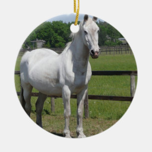 Rond En Céramique Ornement arabe de cheval