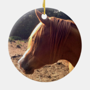 Rond En Céramique Ornement Arabe de cheval