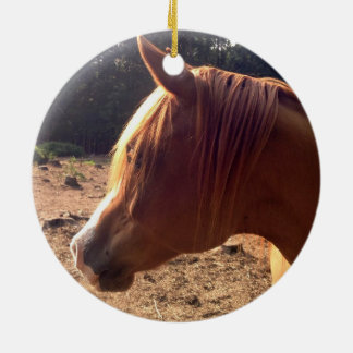 Rond En Céramique Ornement Arabe de cheval